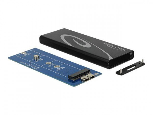 Delock Speichergehäuse - M.2 Card - 600 MBps - USB 3.1 (Gen 2)
