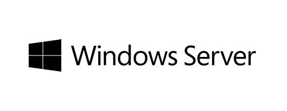Fujitsu Windows Server 2019 100 User CAL
