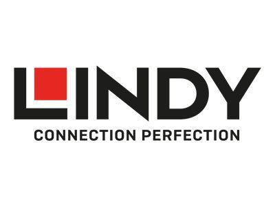 Lindy KVM IP Access Switch DVI-I & USB