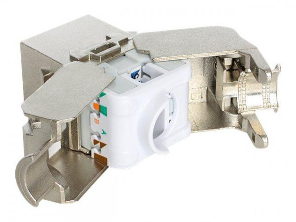 Keystone Delock RJ45 Cat6a Buchse (8P/8C)