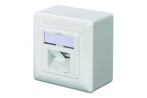 DIGITUS RJ45Dose Cat6a 2xRJ45 geschirmt Aufputz Signalweiß