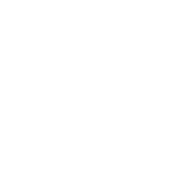 AVM