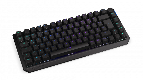 Endorfy Tastatur Thock 75% Wireless Kailh Red