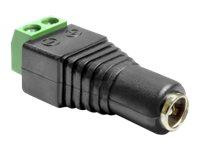 Adapter Delock Terminalblock 2Pin -> DC 2,5 x 5,5mm Buchse