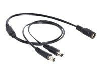 Stromkabel Delock DC 5,5 x 2,1mm 1x Bu -> 2x St