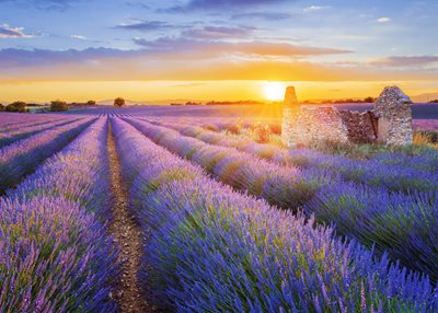 Mit ASUS Flicker-Free-Technologie