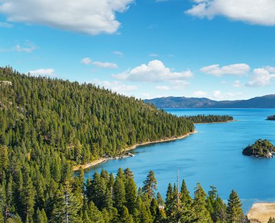 Mit ASUS Flicker Free Technologie