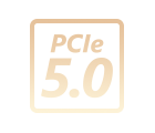 PcIe® 5.0 Logo