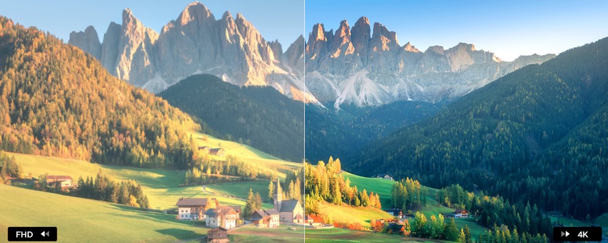 Every detail, brought to life