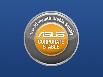 ASUS Corporate Stable Model